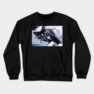 polydactyl cat Crewneck Sweatshirt